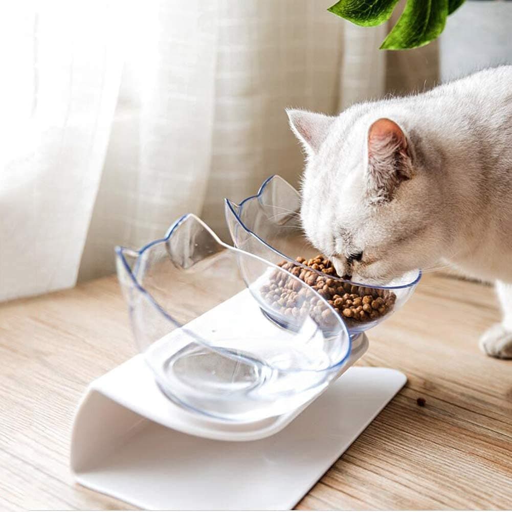 Comedero Elevado con Cuenco Transparente para Gatos